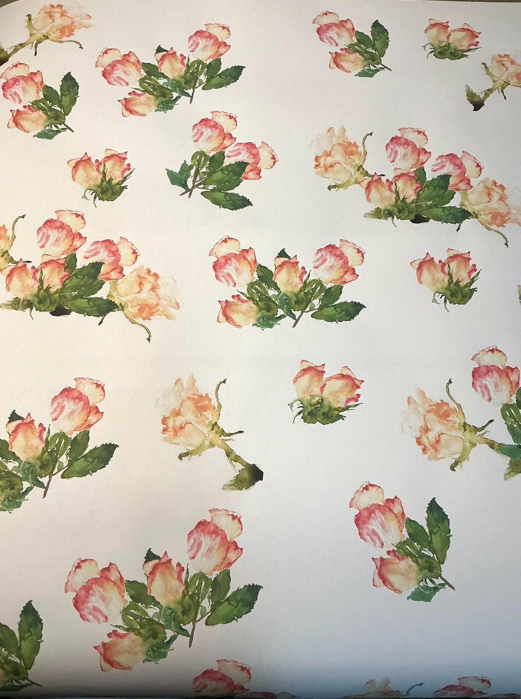 Rose Watercolor Wrapping Paper: Ivory + Pink Botanical Gift Wrap