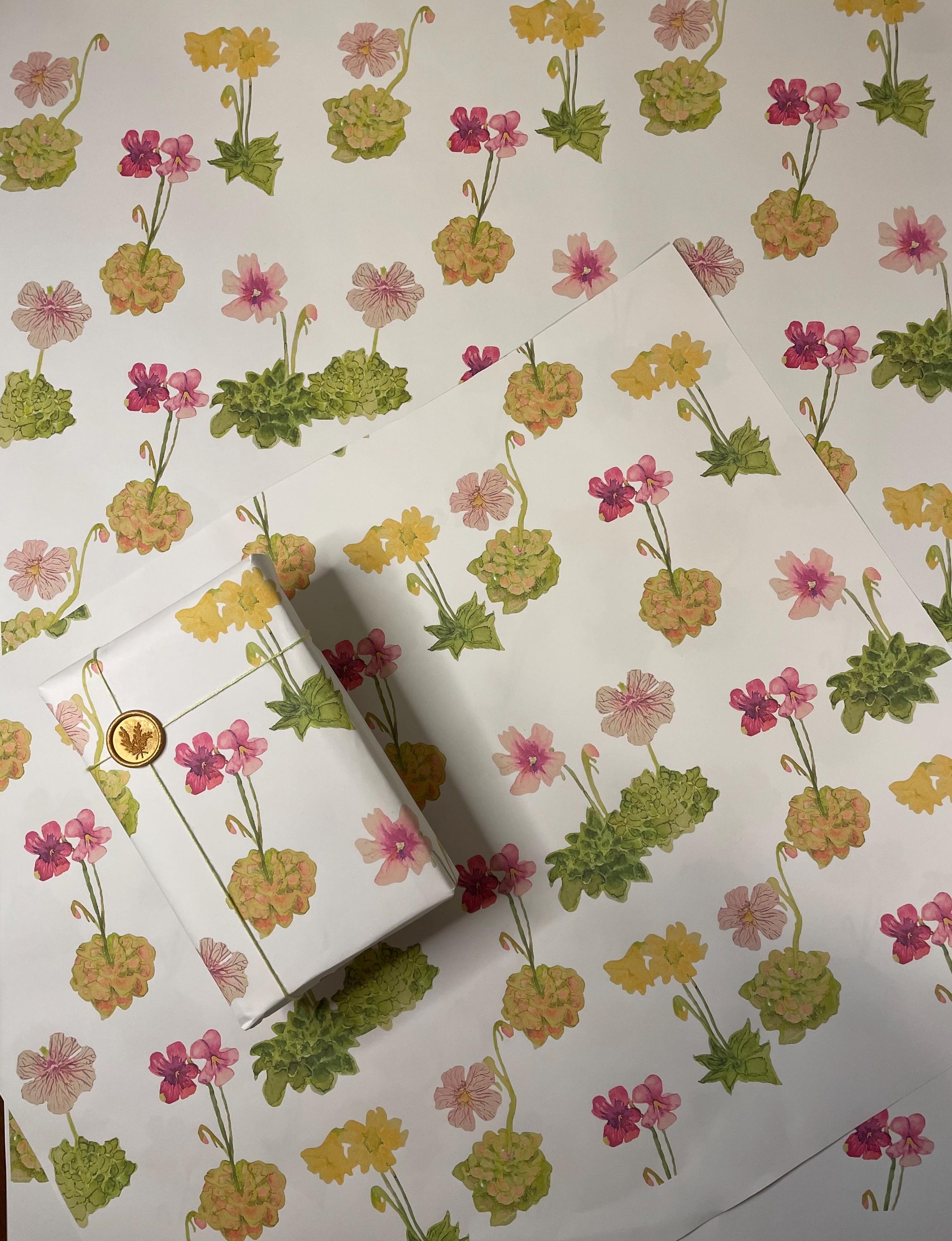Butterwort Pinguicula Wrapping Paper – Carnivorous Plant Gift Wrap for Nature Lovers & Botanical Enthusiasts