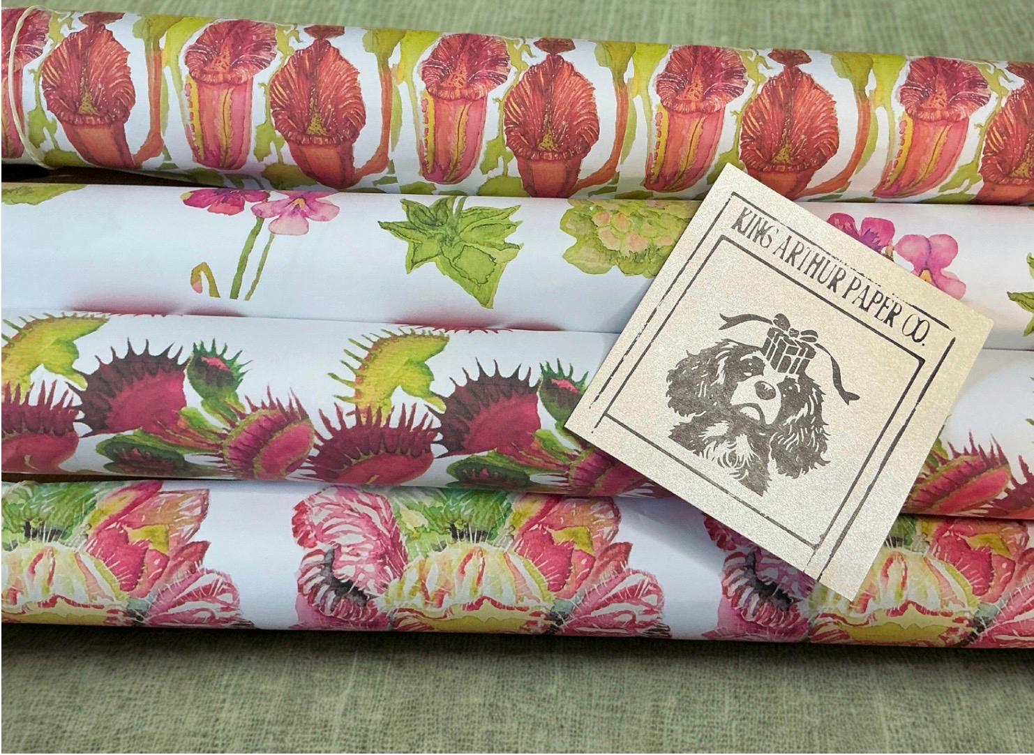 Watercolor Pitcher Plant cephalotus Wrapping Paper - Eco-Friendly Gift Wrap